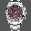 Replica Rolex Cosmograph Daytona witgoud rubelliet wijzerplaat 116509 40MM rode wijzerplaat