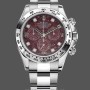Replica Rolex Cosmograph Daytona witgoud rubelliet wijzerplaat 116509 40MM rode wijzerplaat