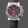 Replica Heren Rolex Cosmograph Daytona witgoud rubelliet wijzerplaat 116509 rubber band rode wijzerplaat